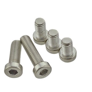 SS304 Hex Round bolts